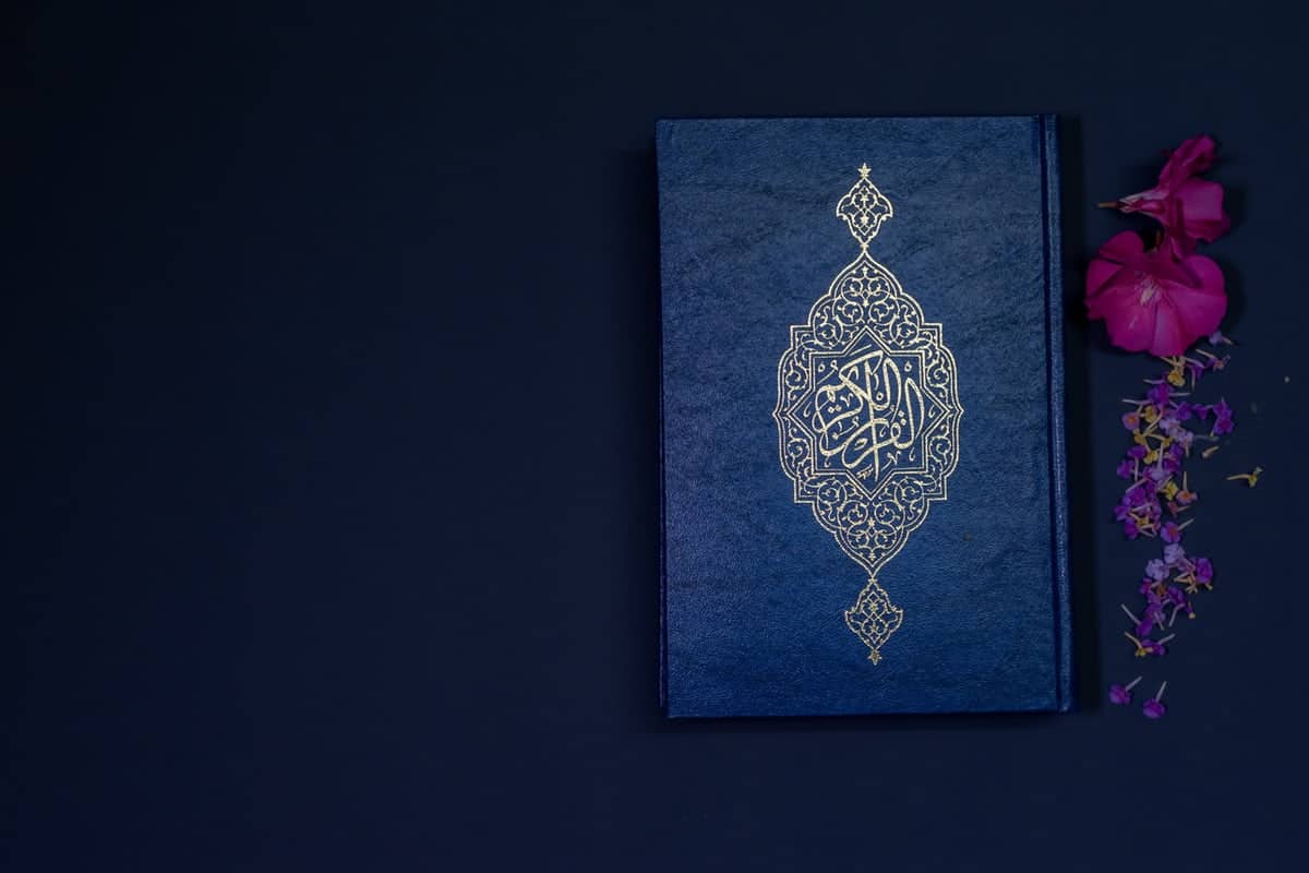 البحث عن ايات تدل على التامل