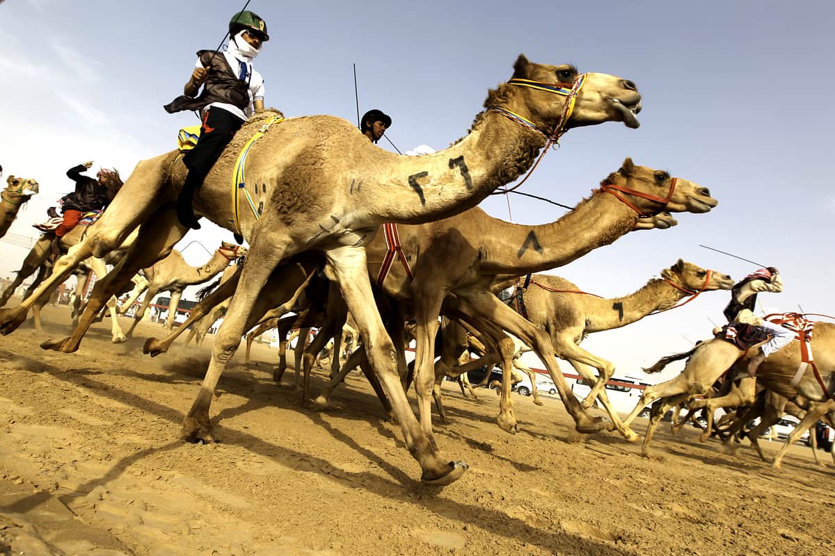 ما هو تردد قناة الساحة الجديد