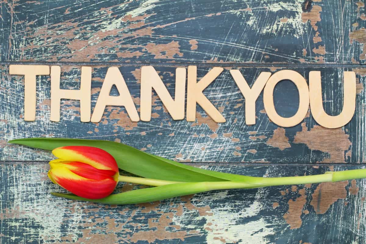 اجمل عبارات شكر وثناء