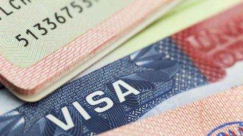 كيفية طباعة التأشيرة من مساند رابط مباشر 1445
