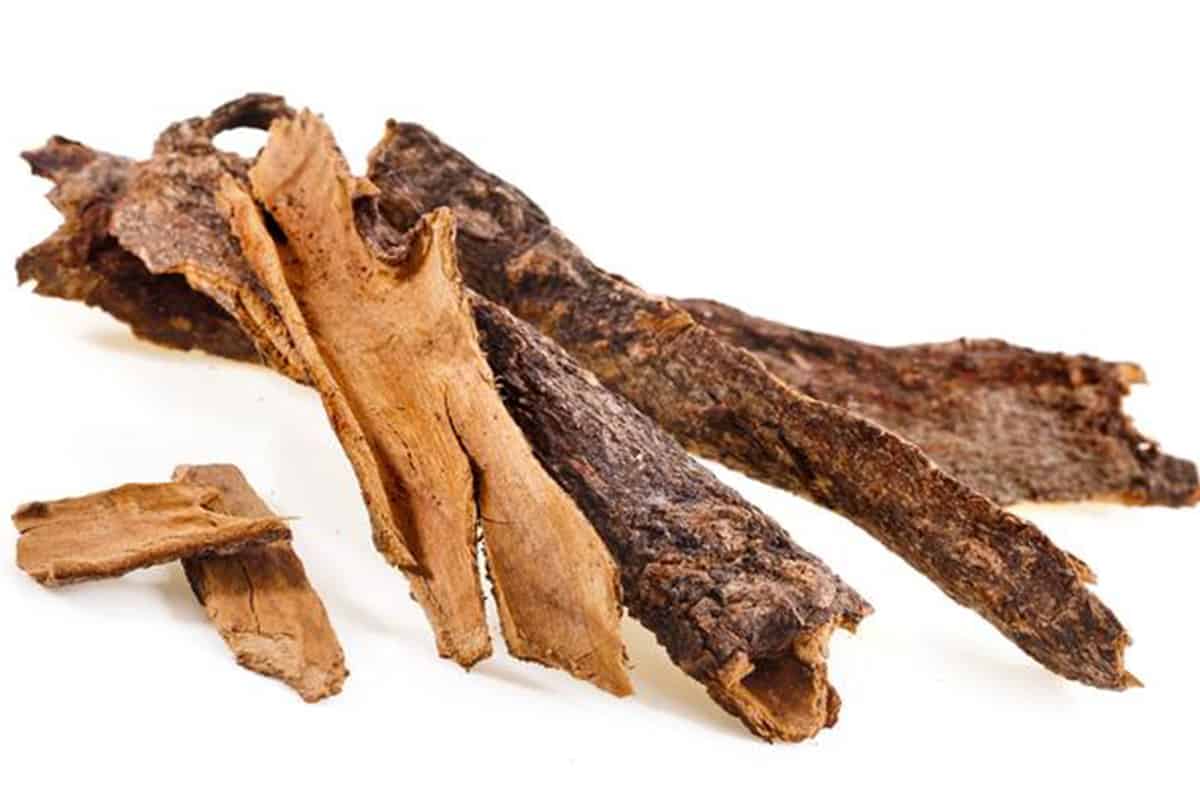 فوائد القسط الهندي لعقم الرجال