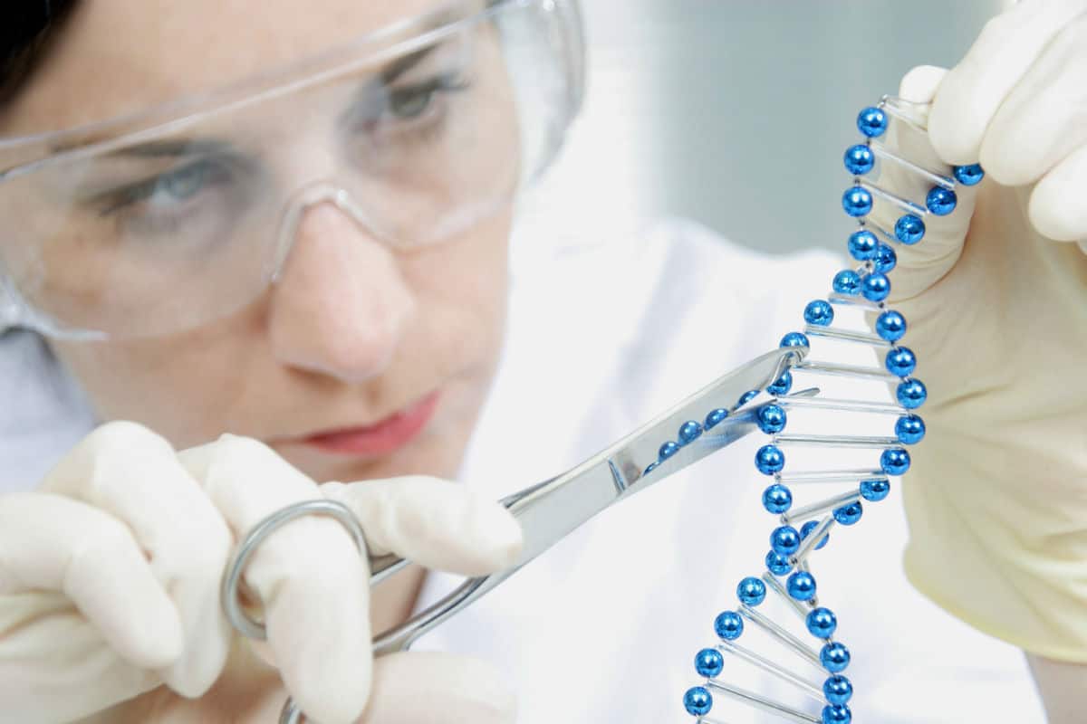 معلومات عن مرض تاي ساكس واعراضه واسبابه