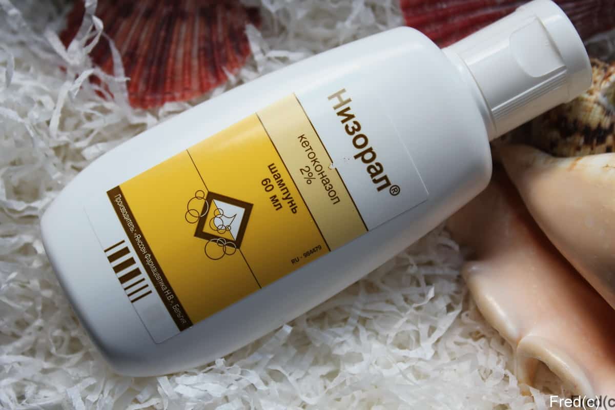 تجارب شامبو نيزورال للشعر