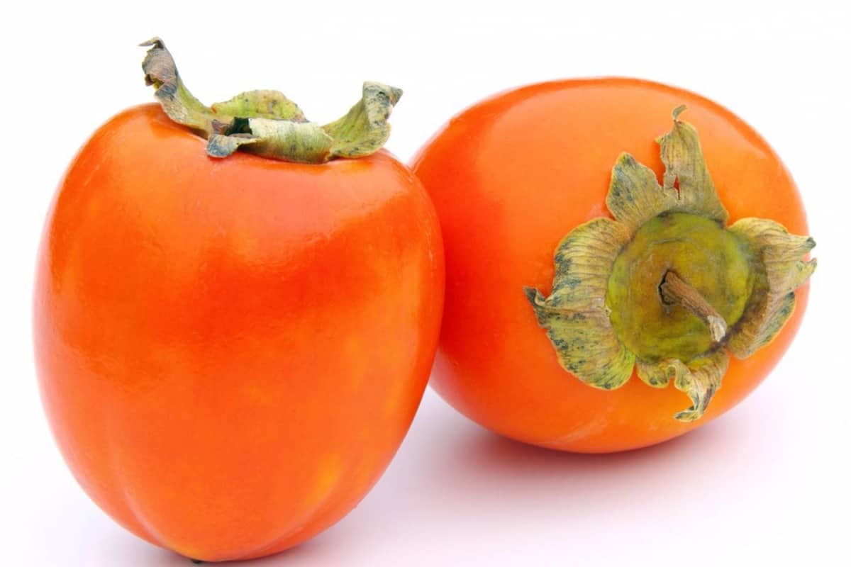 فوائد الكاكا للجسم