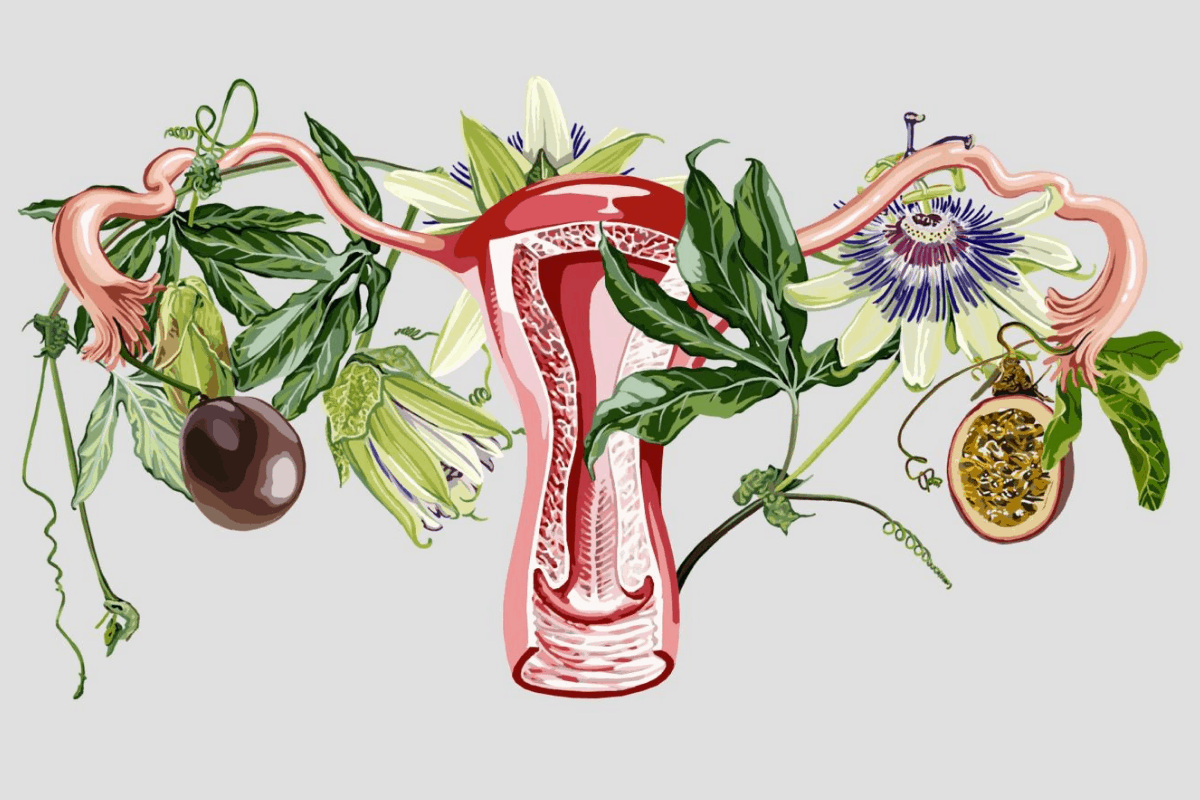 علاج هرمون fsh بالاعشاب