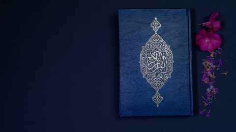 بلاغة النص القرآني محمد إقبال عروي
