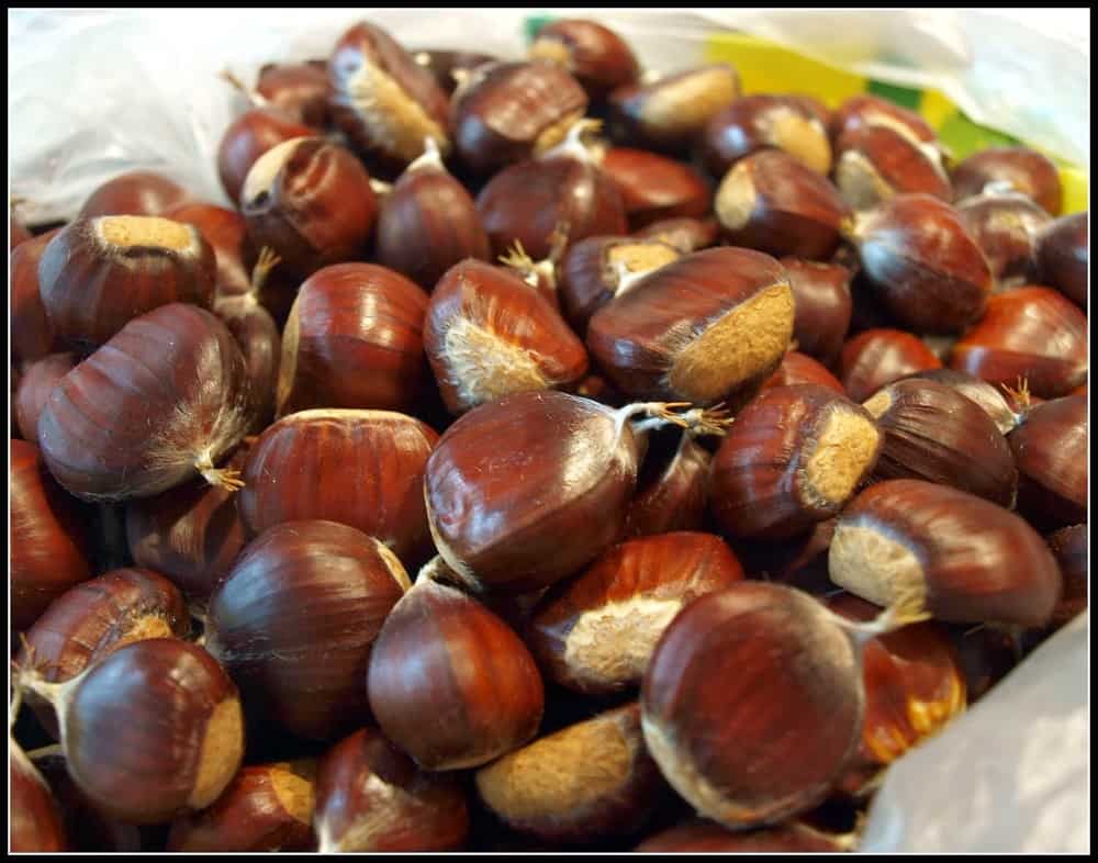 فوائد البندق للجسم