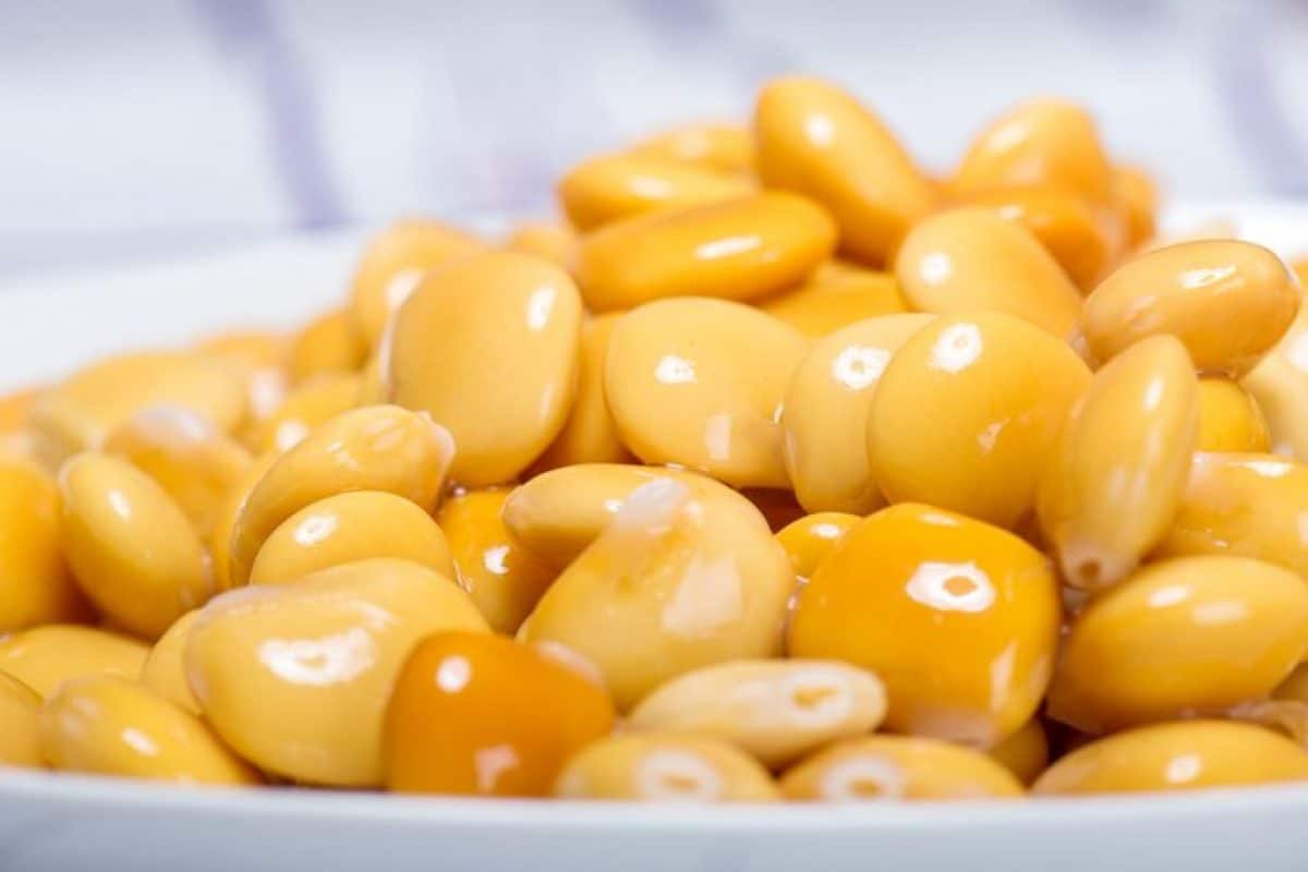 فوائد الترمس لجسم الانسان