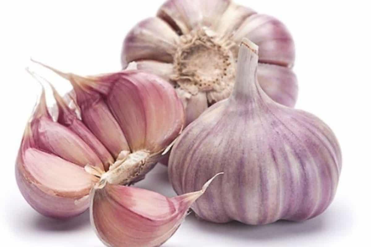 فوائد الثوم الذكر