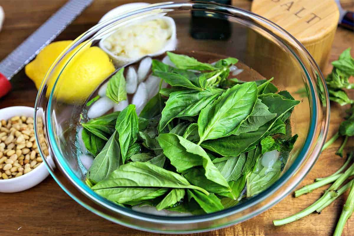 فوائد الحبق للمعده