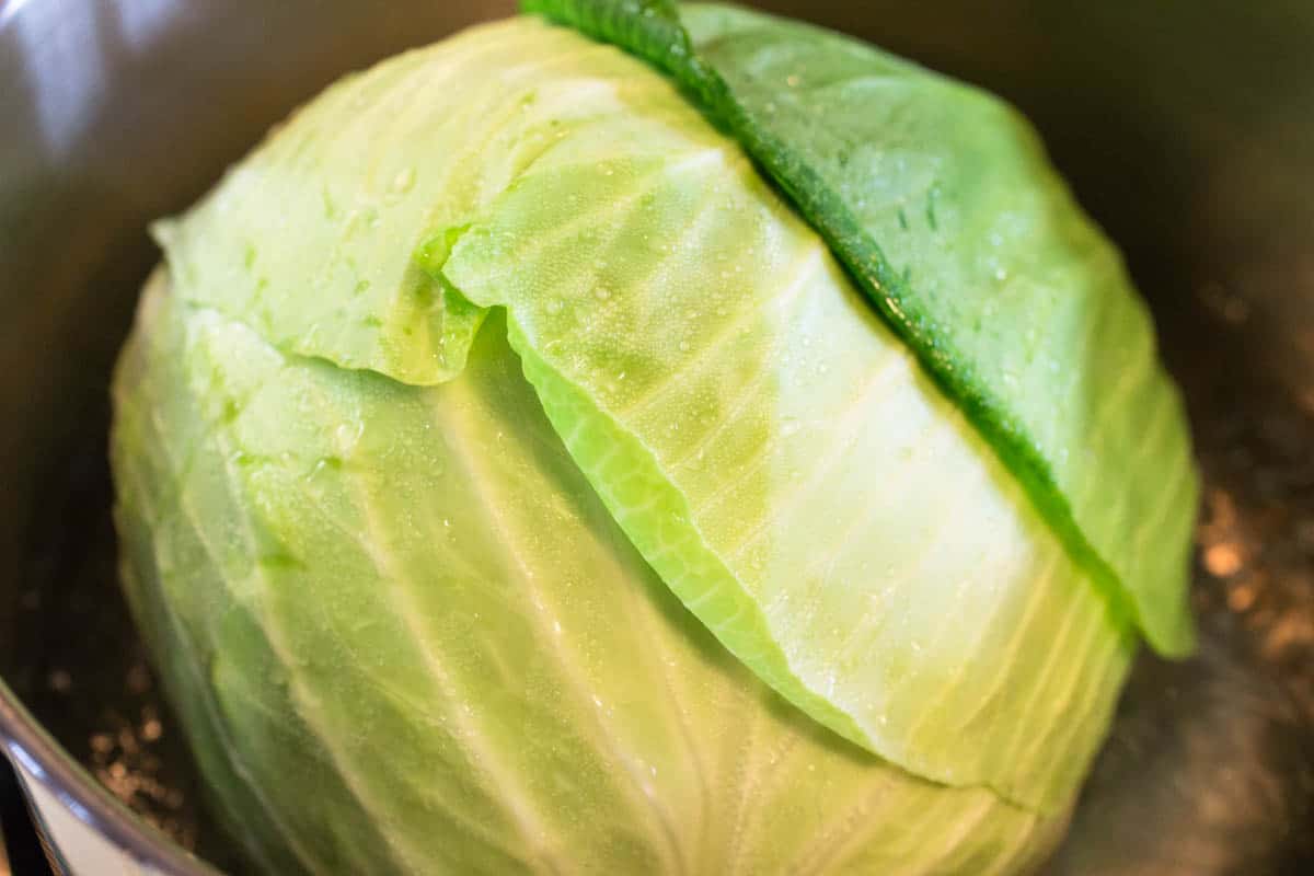 فوائد الكرنب للصحة