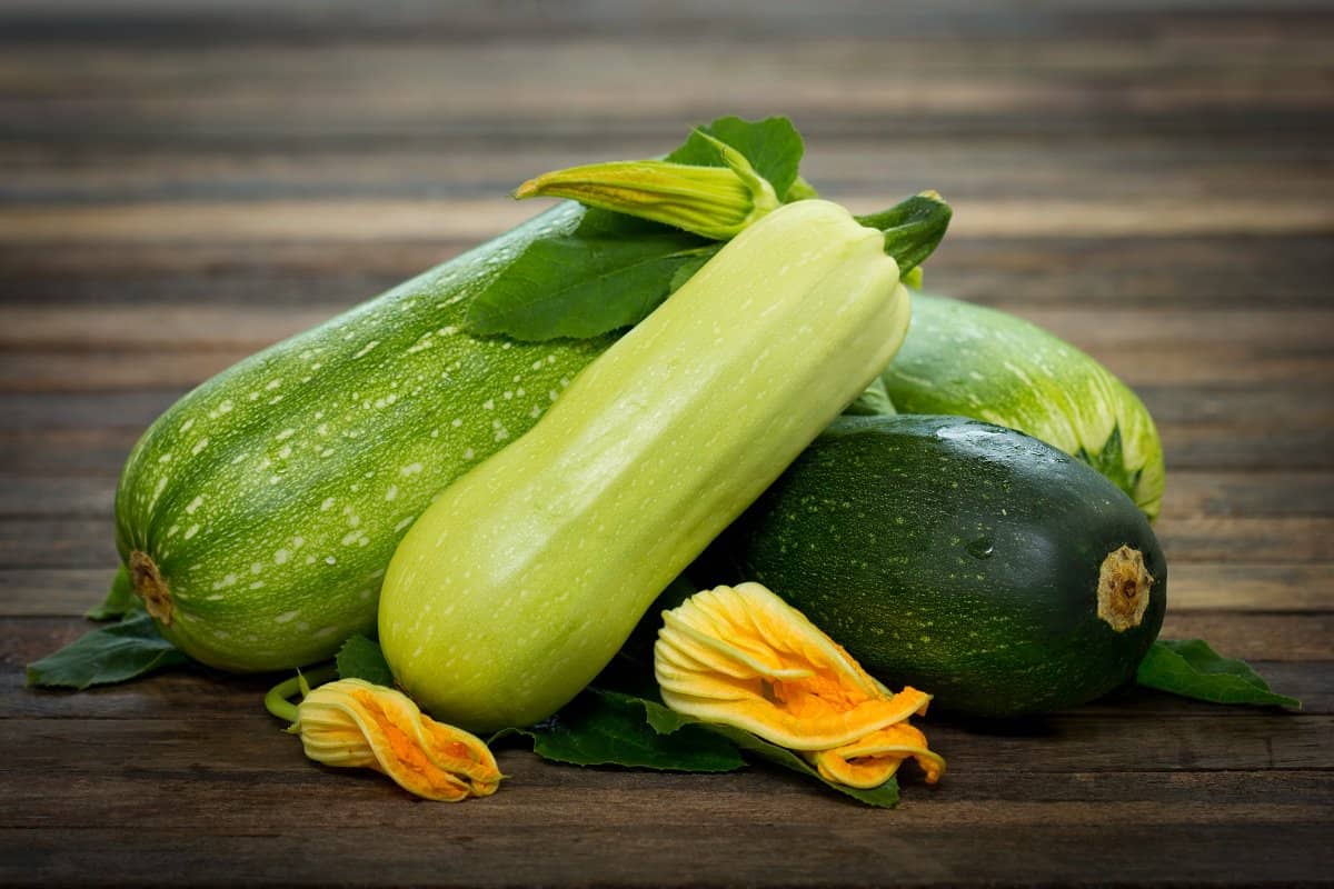 فوائد الكوسا للجسم والاطفال والصحة بشكل عام