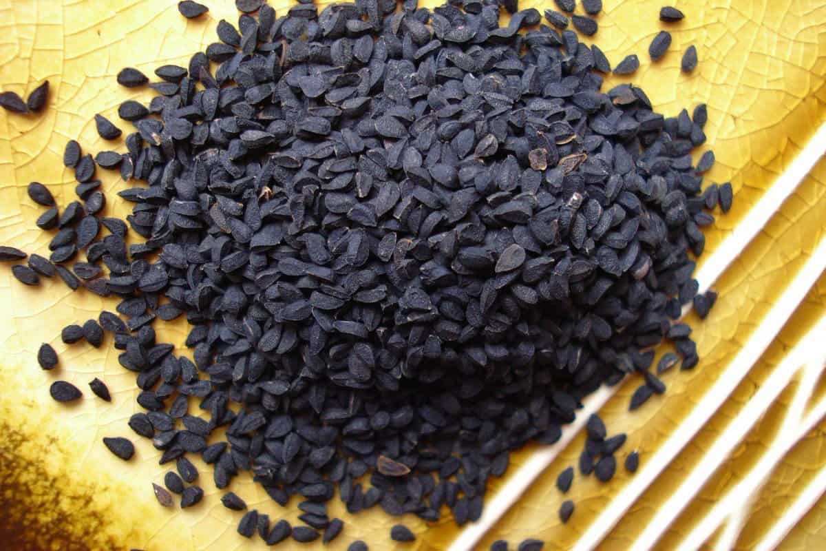 فوائد حبة البركة للجسم