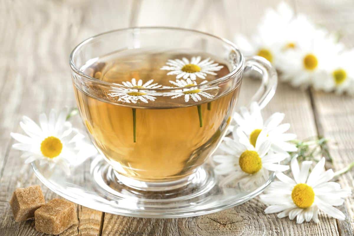 فوائد شاي البابونج الصحية