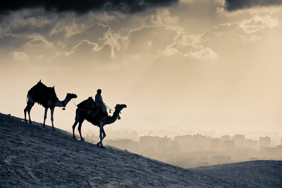 من أجمل أشعار عن الوطن