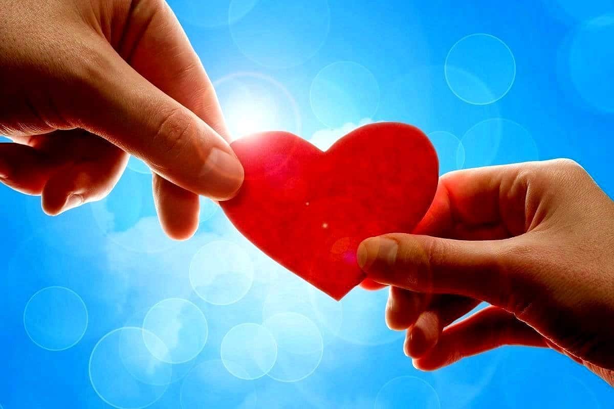 هل تعلم عن الرفق بالانسان