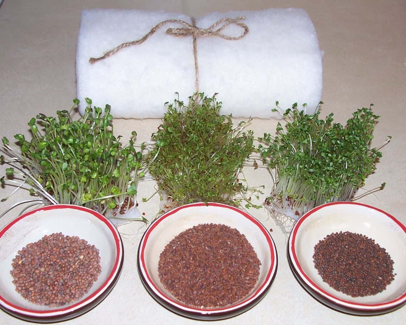 فوائد الرشاد للشعر وأفضل وصفاته