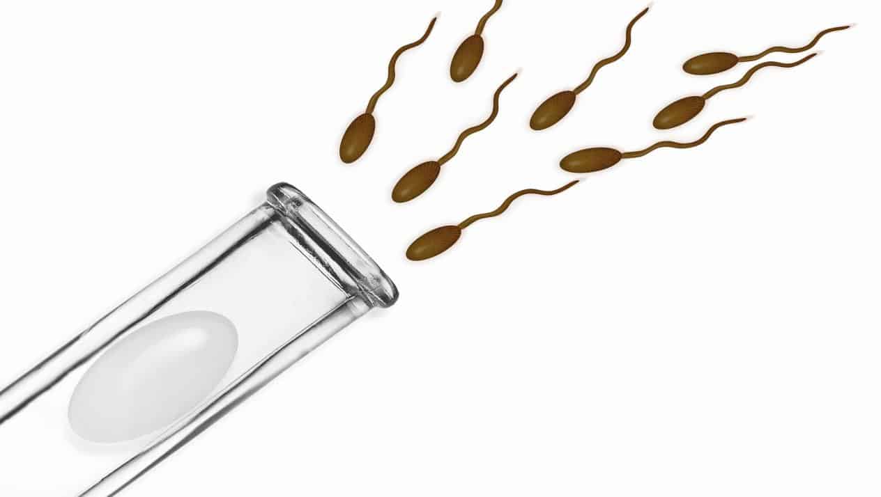 أعراض الحمل بعد عملية الحقن المجهري تعرف عليها