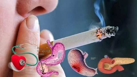 بحث عن اضرار التدخين