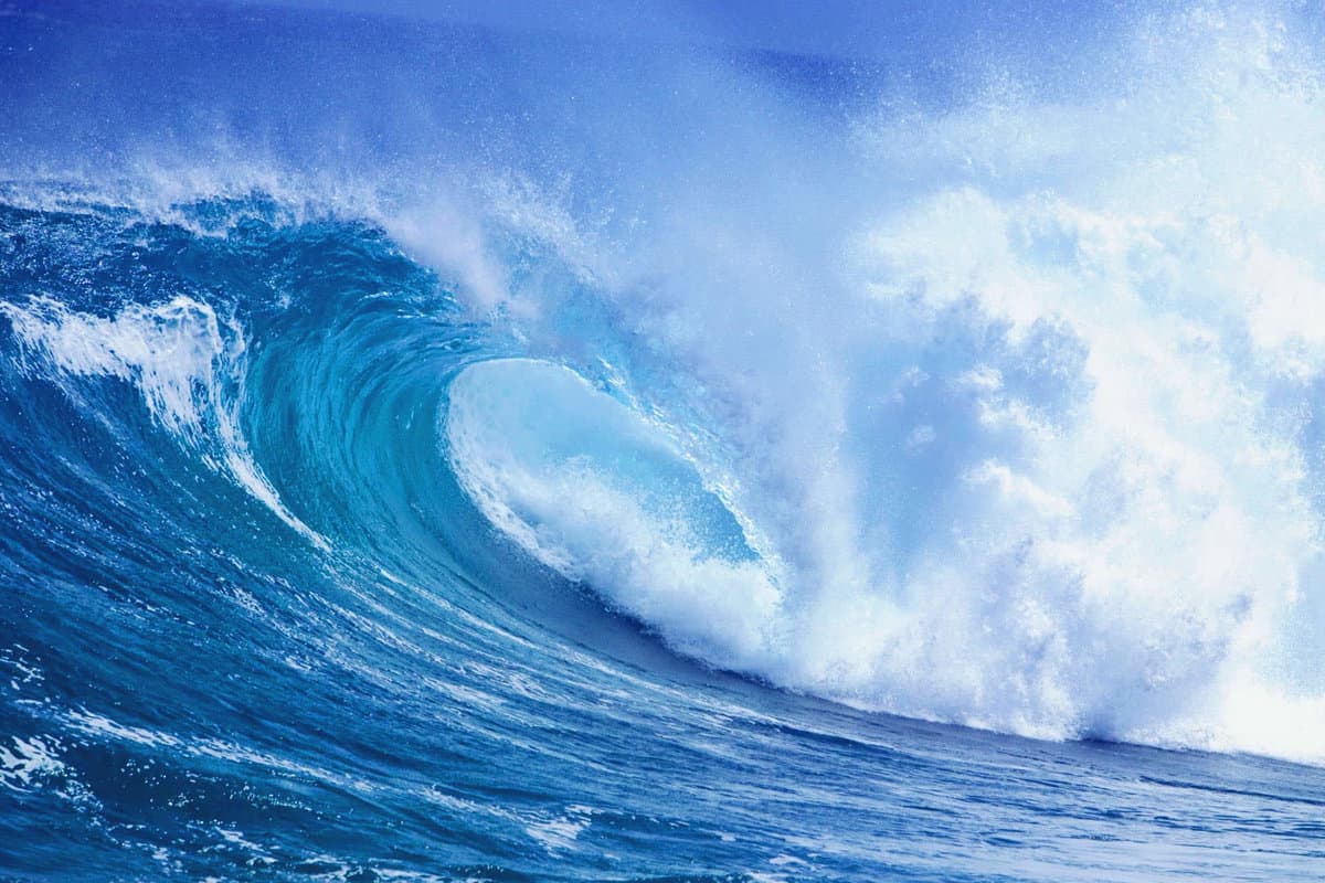 بحث عن الانظمة البيئية المائية وأنواعها