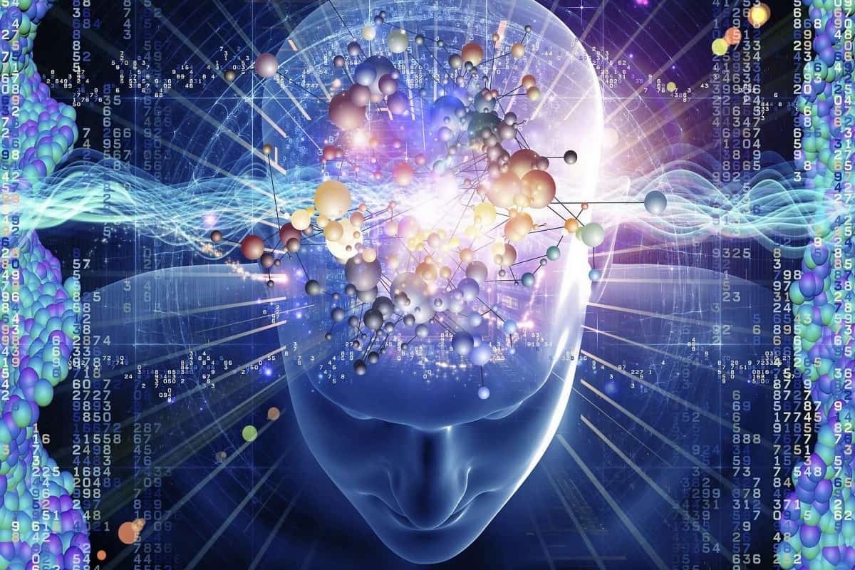 بحث عن الجهاز العصبي وكيفية الحفاظ عليه