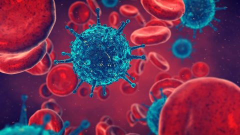 بحث عن جهاز المناعة وأهم مكوناته
