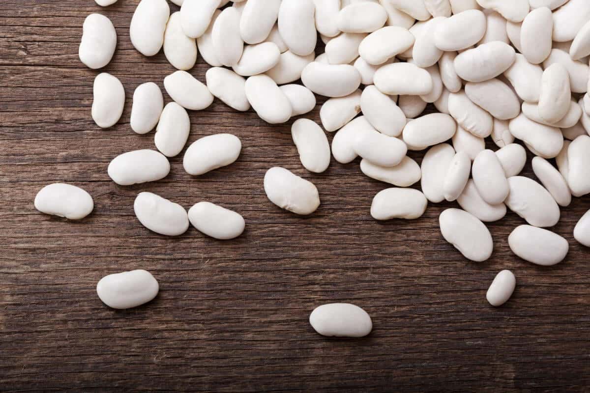 فوائد الفاصوليا البيضاء للجسم
