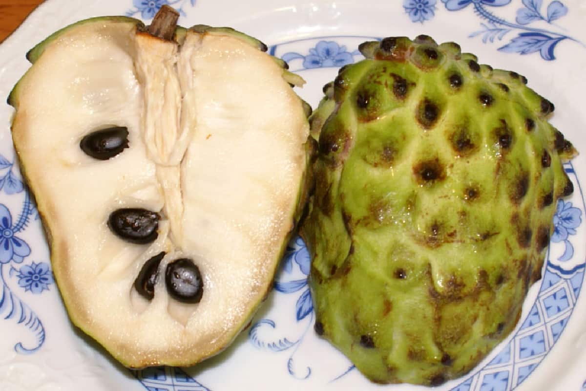 فوائد القشطه العلاجية