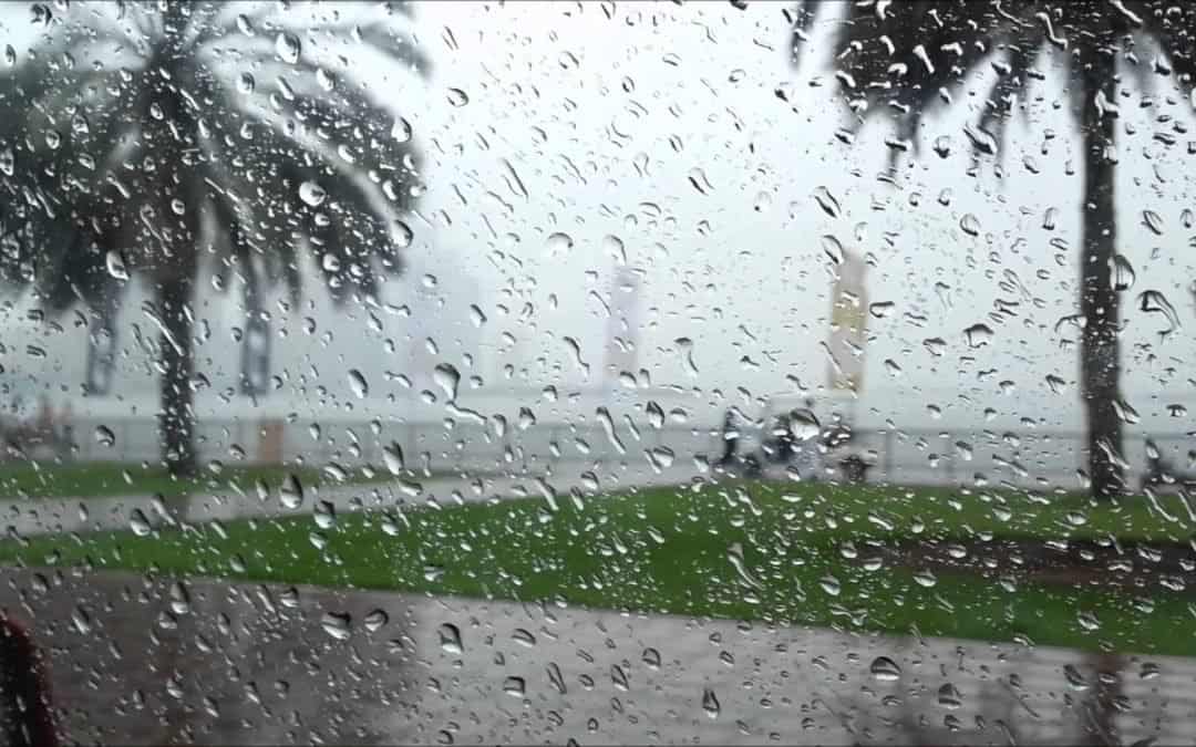 بحث عن فوائد المطر