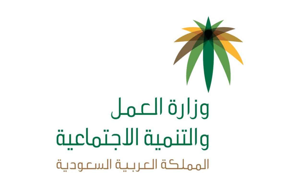 كيفية معرفة نطاق المنشأة الطريقة الجديدة الصحيحة