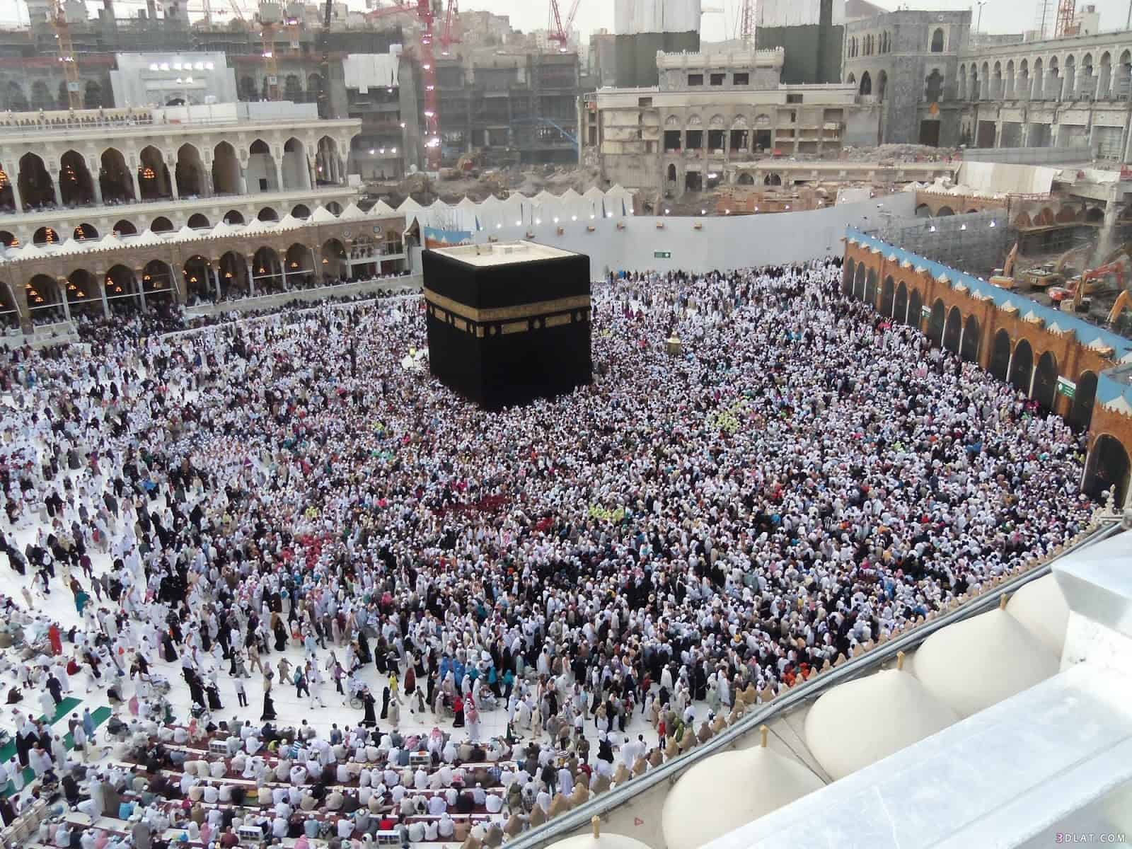 مناسك الحج فيديو وزارة الحج