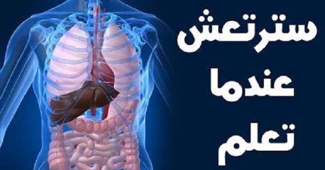 هل تعلم ان اسم الله مكتوب داخل جسمك بالصور هل تعلم ان اسم الله مكتوب داخل جسمك بالصور