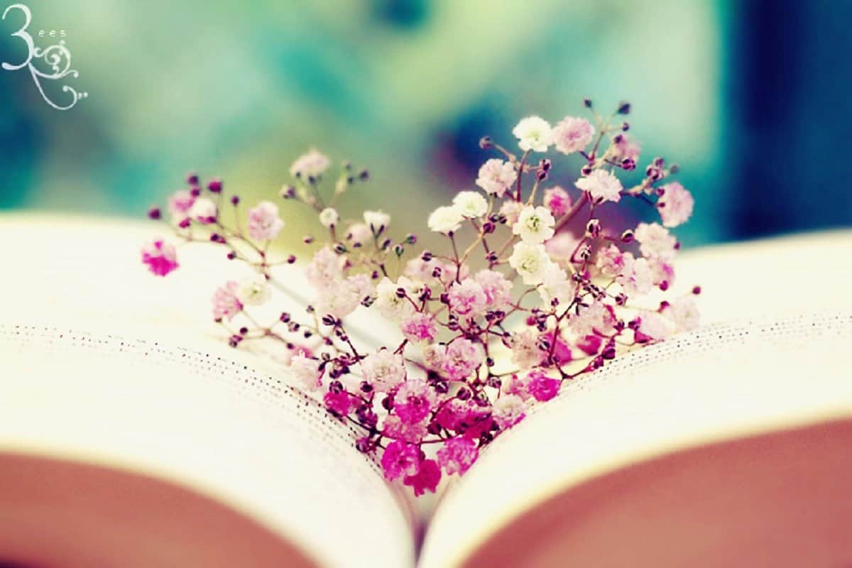 أحاديث الرسول عن الصبر على البلاء