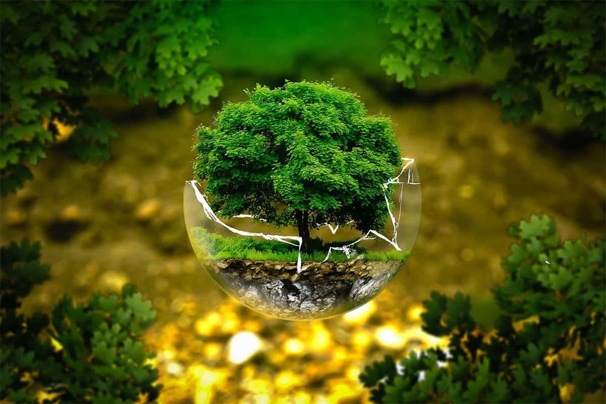 معلومات عن البيئة
