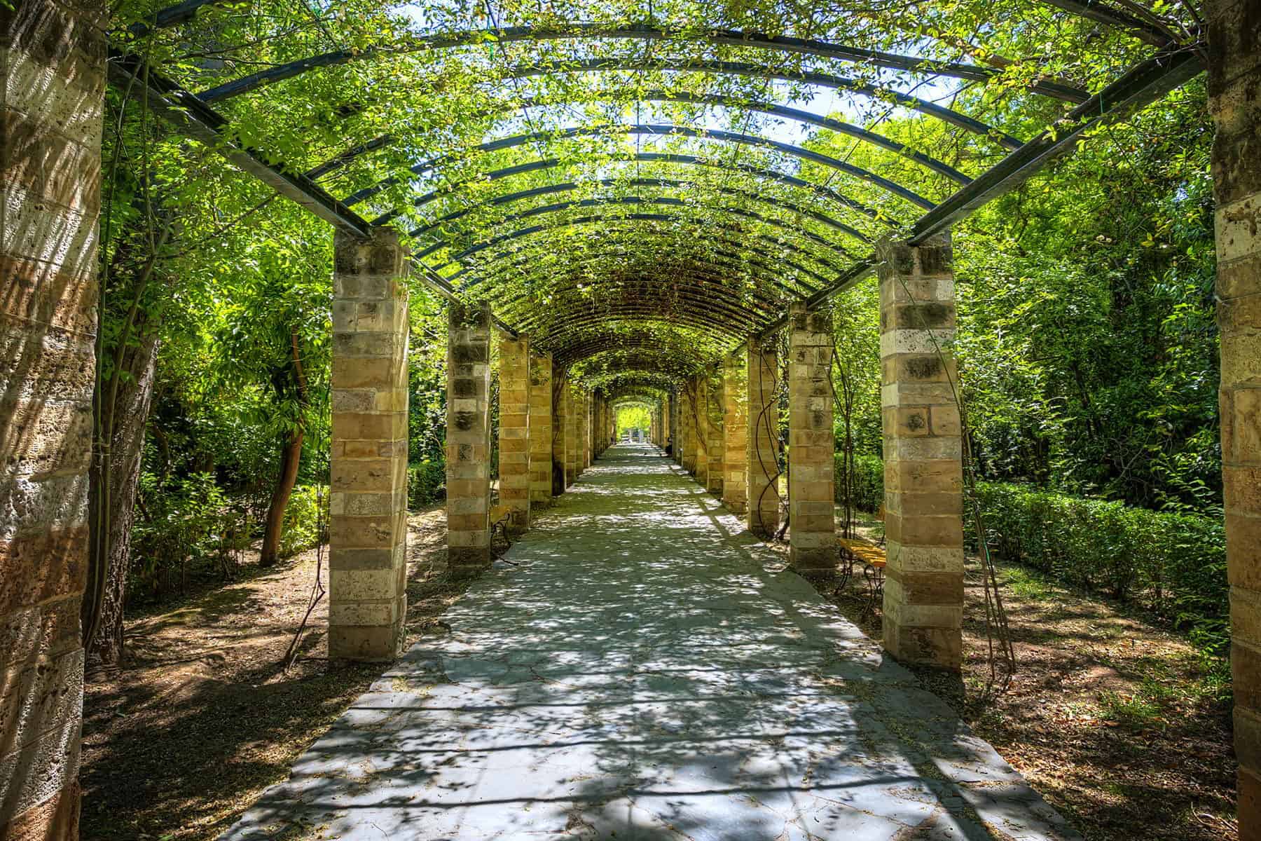 الحديقة الوطنية الحديقة الوطنية