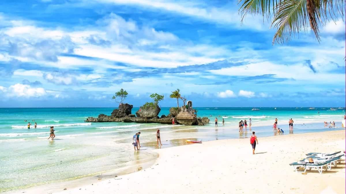 الشاطئ الأبيض الشاطئ الأبيض