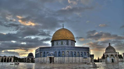 بحث عن فلسطين الموقع والحدود