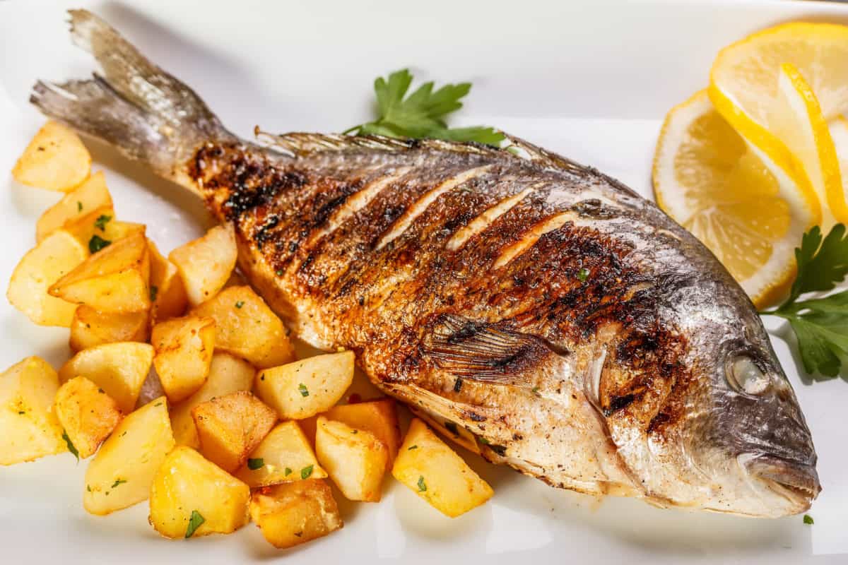 تفسير رؤية السمك في المنام ومعناه بالتفصيل