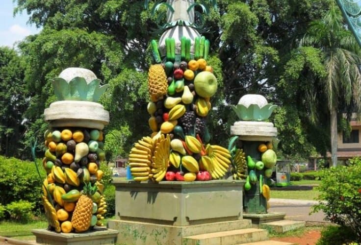 حديقة الفواكه حديقة الفواكه