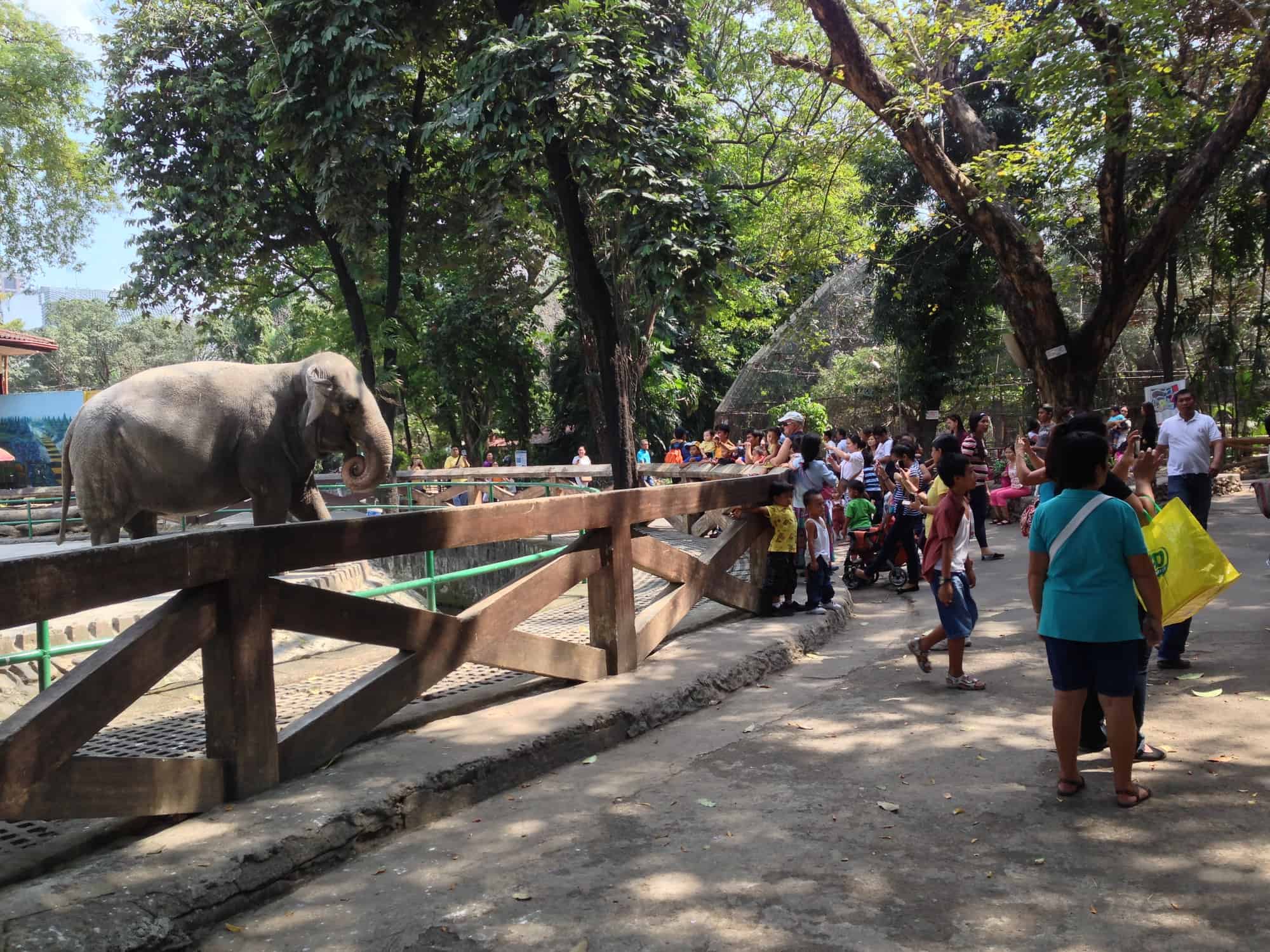 حديقة حيوان مانيلا