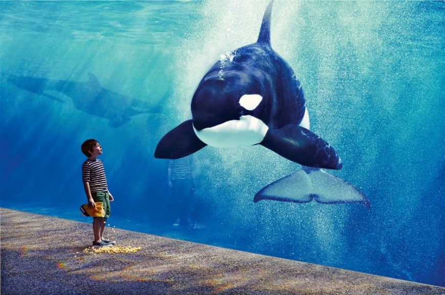 عالم البحار جاكرتا عالم البحار جاكرتا