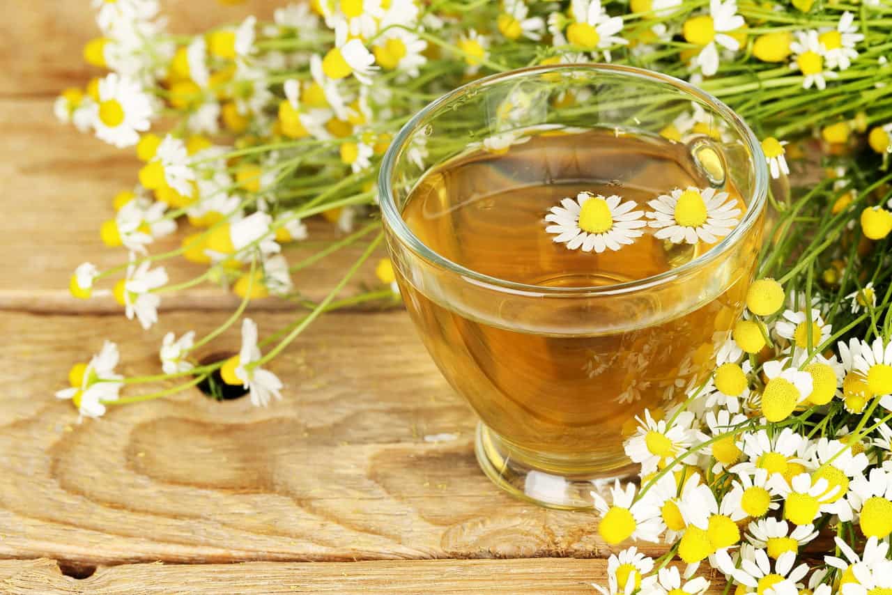 فوائد البابونج للجسم