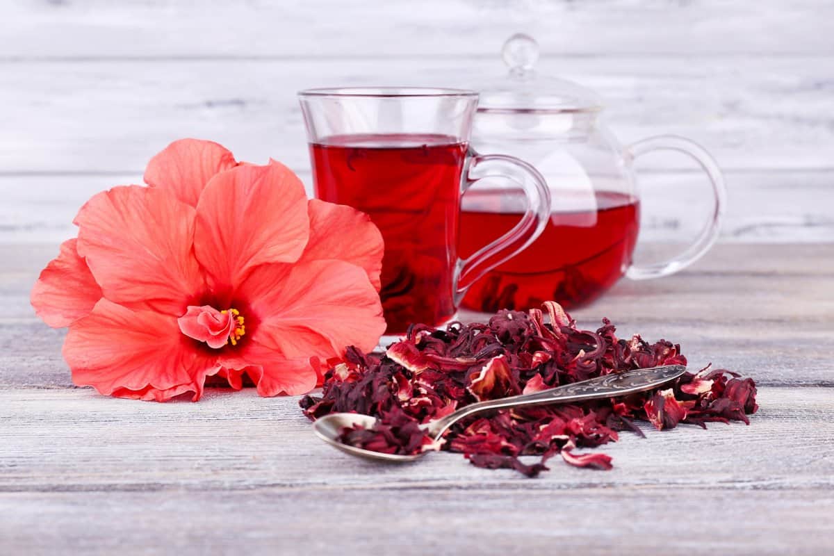 فوائد الكركديه البارد والساخن