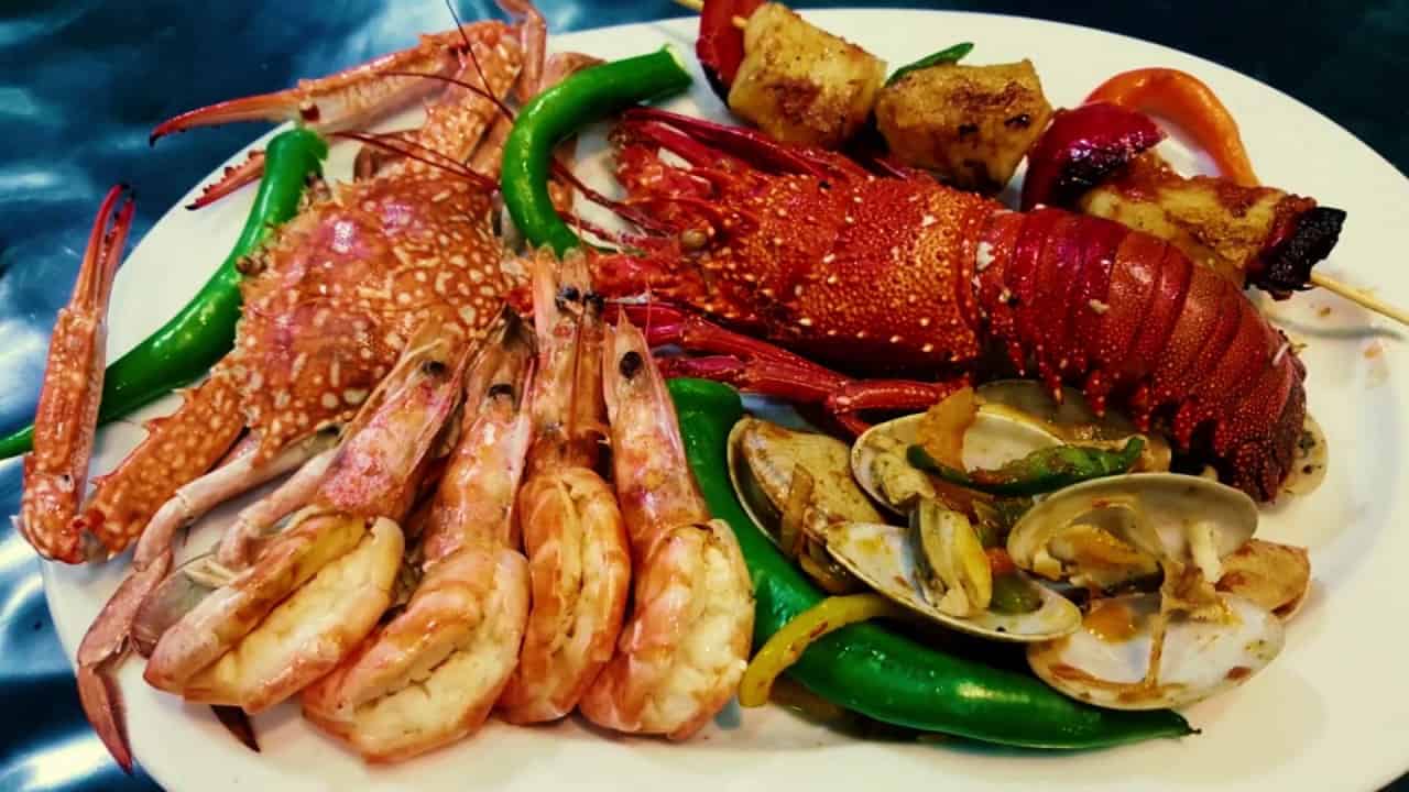 معلومات عن مطعم الاخطبوط في الشارقة