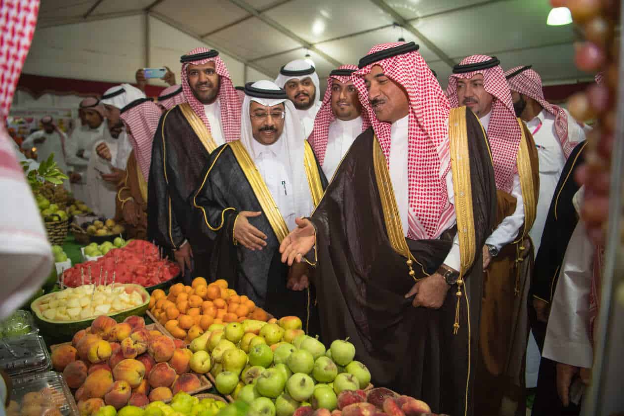 مليون ونصف عائدات الفاكهة في مهرجان طبرجل