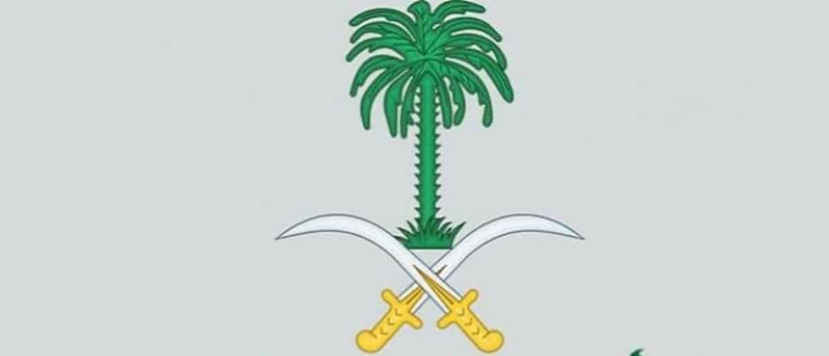 صور شعار المملكه جديدة