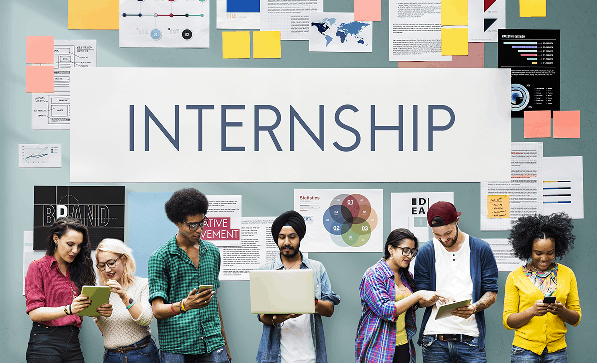 internship معنى