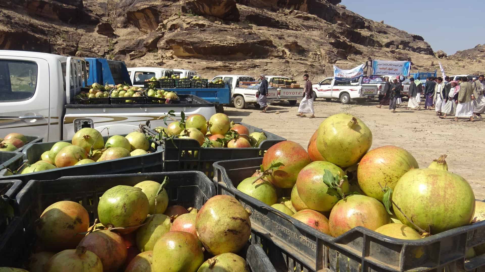 السعودية ترفع الحظر عن الرمان اليمني