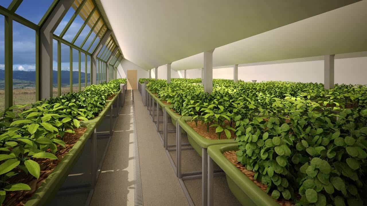 تقرير قصير عن الزراعة في دولة الامارات