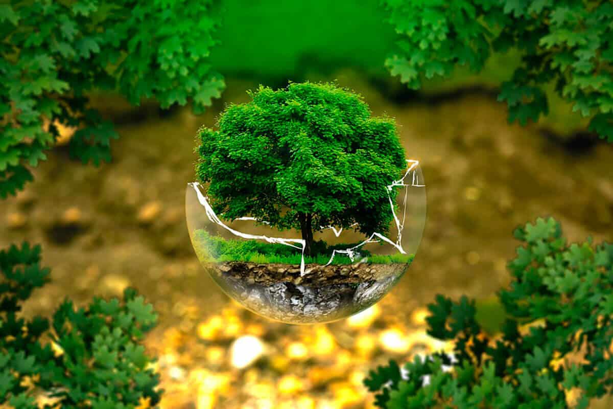 بحث علمي عن البيئة ومكوناتها